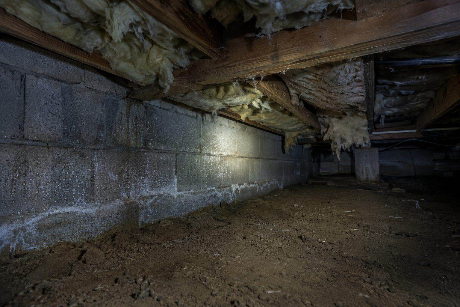 Unsealed, vented crawl space with condensation and sagging insulation